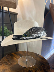 The Peacock